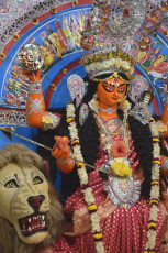 Jagaddhatri Puja 2019, at Ramakrishna Mission, Saradapitha