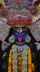 Sri Sri Kali Puja at Belur Math, 2021